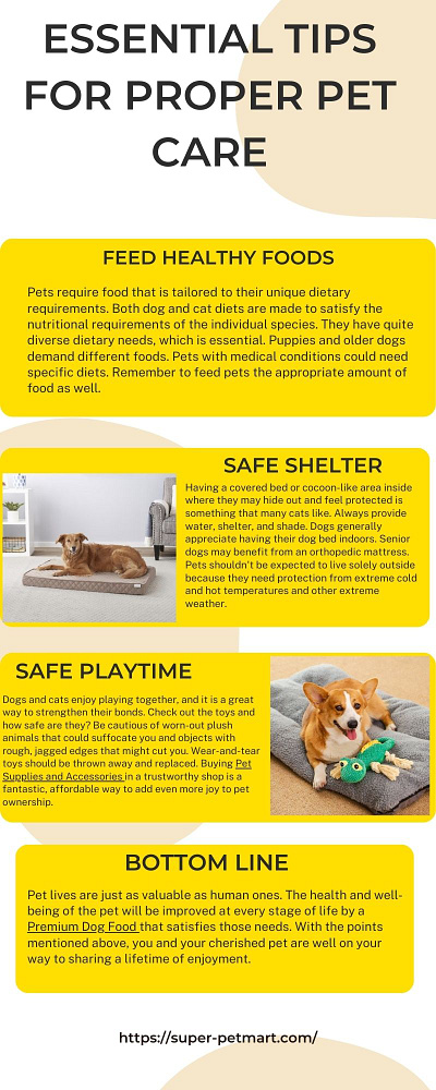 Essential tips for proper pet care pet care pet foods pet products pet store pet supplies
