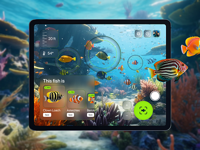 iPad App for divers Concept ai app concept concept design ui