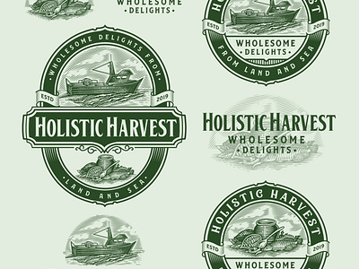 Holistic Harvest Co. branding graphic design illustration logo typography vector