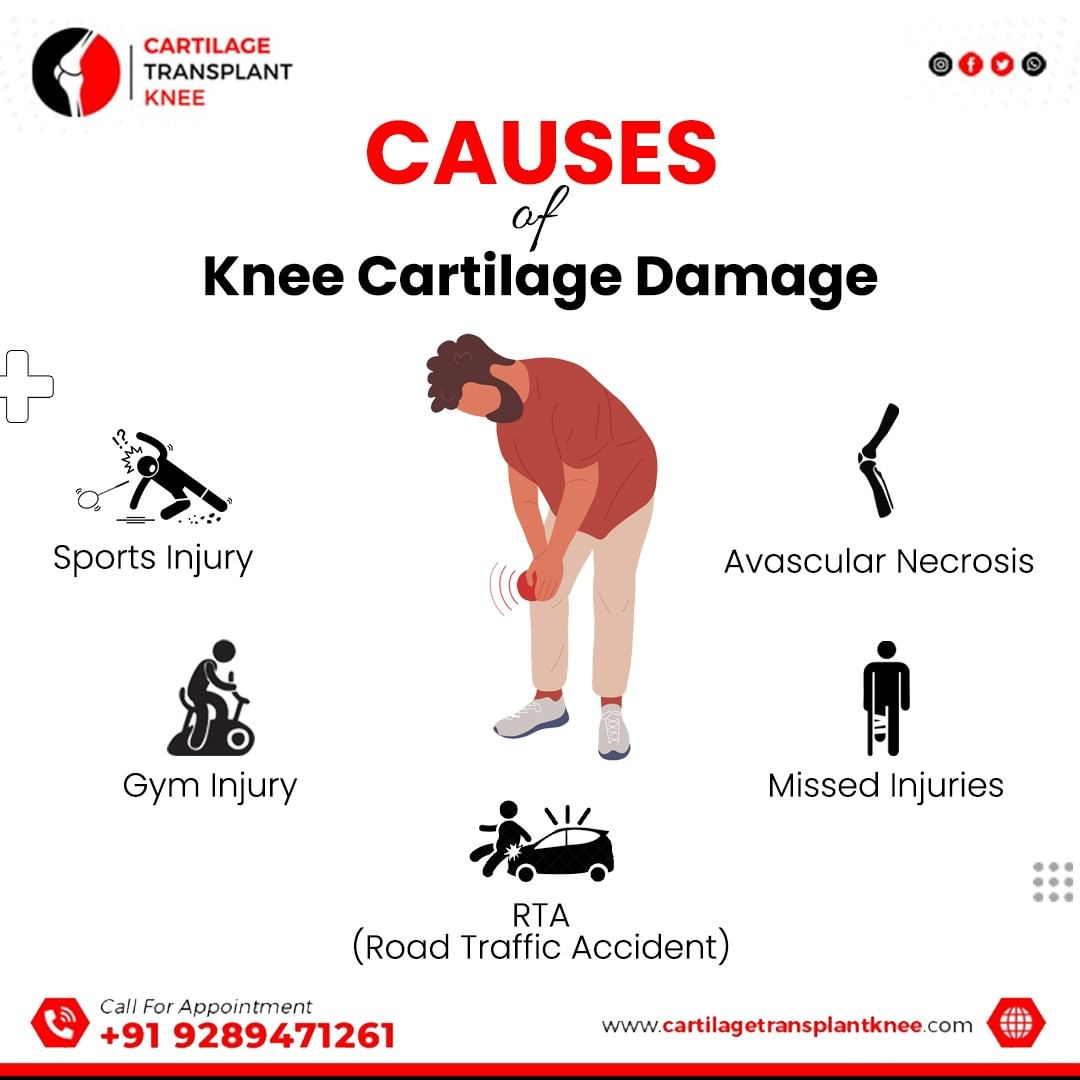 Identifying the Causes of Knee Cartilage Damage by Cartilage Transplant ...