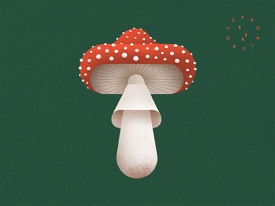 Fly agaric agaric art brandillustration branding clean geometric graphic design illustration illustrator minimal modern mushroom nature procreate publication simple