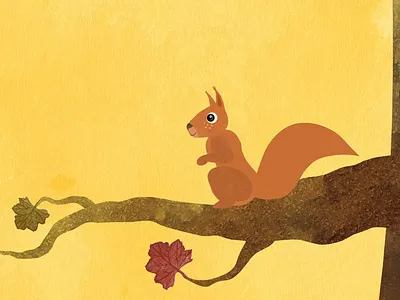 squirrel 2d animation illustration watercolor