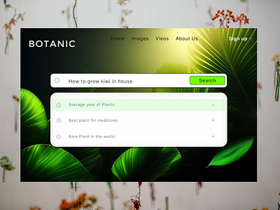 Day 12 #dailyui Challenge Search bar for plant websitee app daily ui design typography ui ux vector
