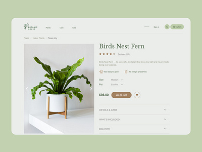 Plant online store - Product card design online store plant product card shopping cart ui web webdesign website