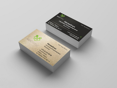 Visit / Business Card design branding design graphic design logo typography ui vector visit business card design визитка визитная карточка