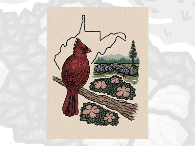 Northern Cardinal birds design drawing flowers illustration northerncardinal rhododendron westvirginia