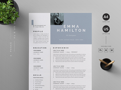 Resume/CV vector