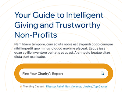 Find Your Charity's Report attention blue causes circles nonprofit yellow