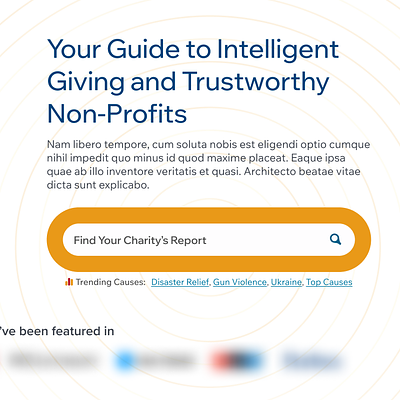 Find Your Charity's Report attention blue causes circles k2dstrategies nonprofit yellow