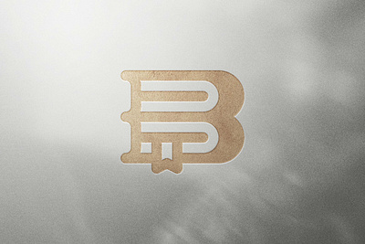 Letter B Book Logo branding typography unique