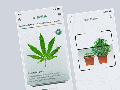 Ganja | App Design design ganja marijuana mobile ui