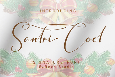 Santri Cool branding callgrapy creativemarket design font graphic design illustration logo motion graphics ui vector