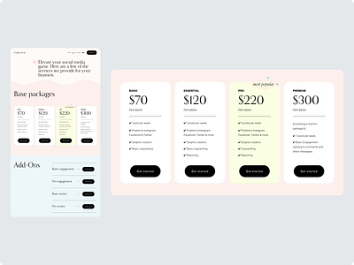 Social Media Management Website Pricing Table design product design ui ux web design