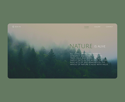 Naure website graphic design ui