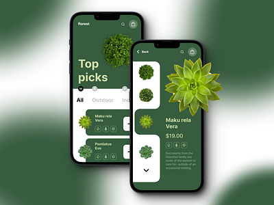 Plant Shop App UI 🌿🍀 app app ui branding design graphic design illustration logo ui uiux vector