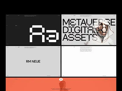 VRTL WRLD™ — Visual Identity brand brand identity branding design logo logotype typography visual identity website