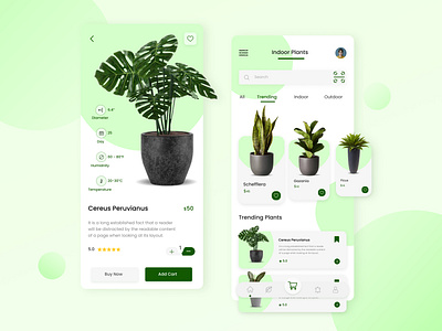Plant Online Store App / UI Design adobe xd figma online store app plant ui ui designer uiux user experience user interface ux designer