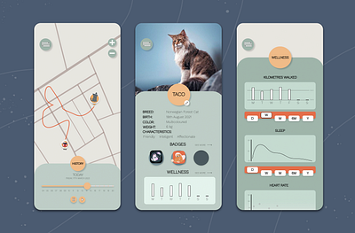 MeoWatch- Track Your Cat app branding design graphic design ui ux vector