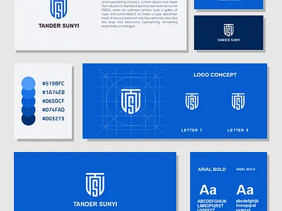 TS monogram logo app branding design graphic design icon logo vector