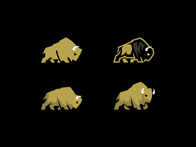 Gold Bison / Buffalo aggressive animal logo bison bison logo buffalo buffalo logo crossfit fitness gold gym kreatank logo logo design sports supplement store