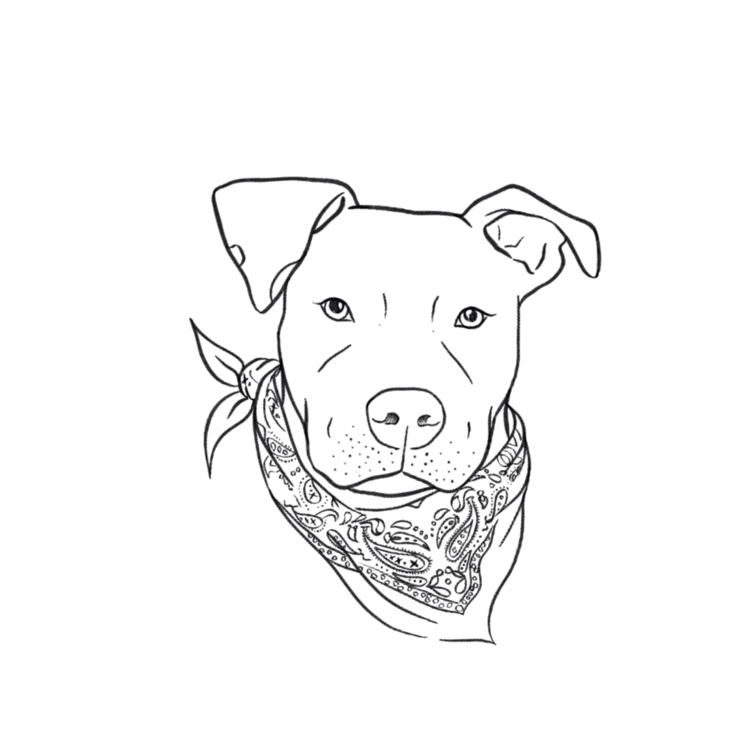 easy pitbull face drawings