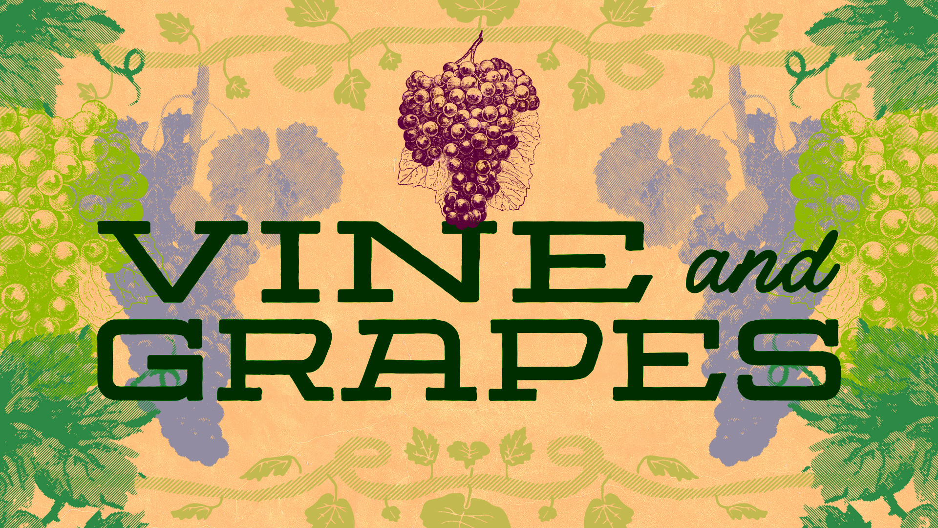 Vine & Grapes Series Bumper Animation aftereffects animation bookcoverdesign brandillustration branding brandinganimation brandingdesign church churchgfx coverdesign design graphic design illustration logo seriesbranding typeanimation typeography