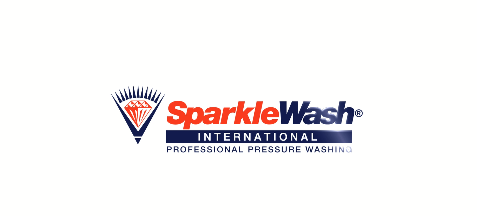 Example of Sparkle Wash | Logo Animation | Animated Logo