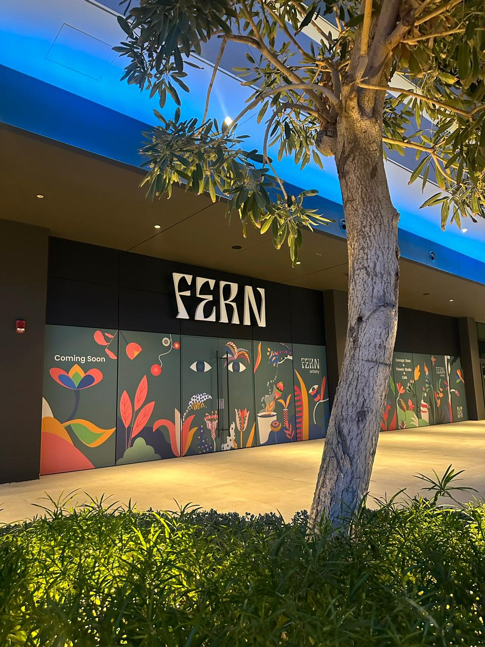 Fern Artistry Coming Soon Hoarding adobe illustrator colors dubai florist flowers illustration nature uae vector windowdisplay