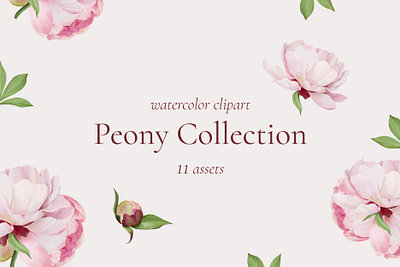 Watercolor Peony Collection aesthetic flowers botanical botanical elements clipart cute delicate elegance floral pastel colors peony flowers watercolor watercolor painting watercolor peony wedding stationery whimsy