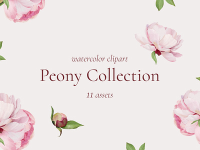 Watercolor Peony Collection aesthetic flowers botanical botanical elements clipart cute delicate elegance floral pastel colors peony flowers watercolor watercolor painting watercolor peony wedding stationery whimsy