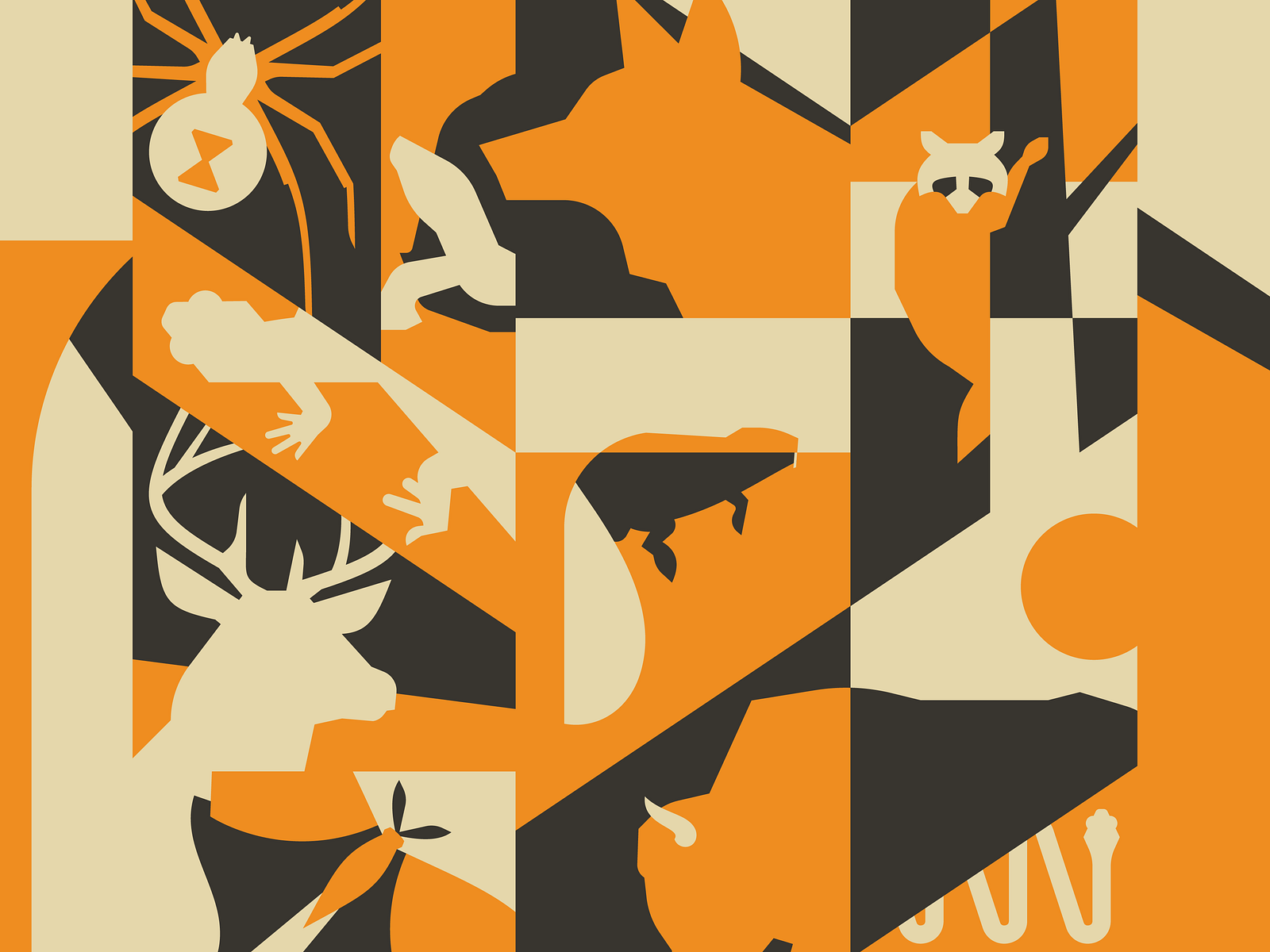 Tulsa Wildlife by Hayden Walker for Hampton Creative on Dribbble