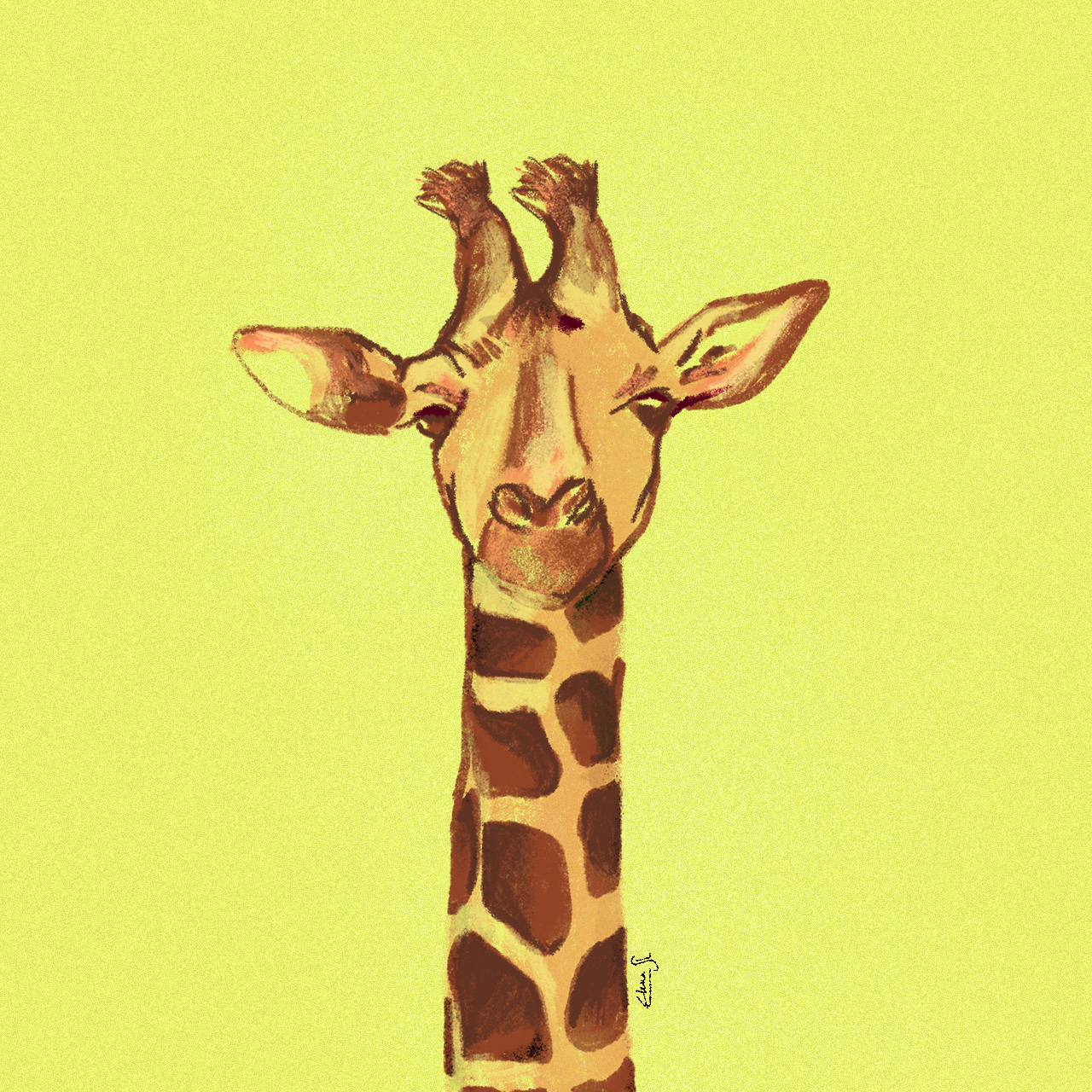 Giraffe 2d animal animal character animal illustration cartoon cartoon character character colorful giraffe illustration procreate procreate illustration vector illustration