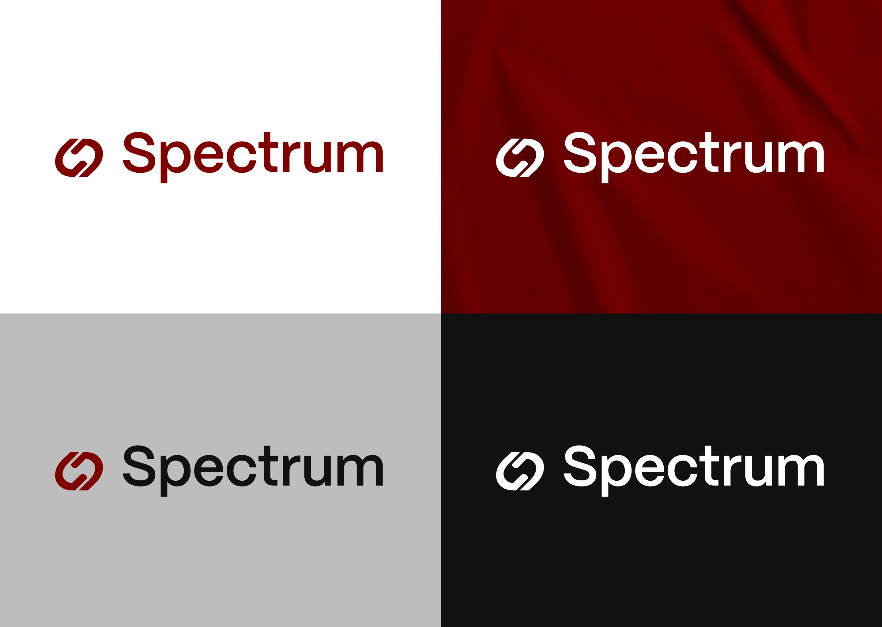 spectrum - Brand Guidelines by Handcraft Design for Sans Brothers on ...
