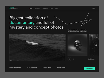 Echography Website art black dark dark design dark mode dark website echo echodesign gallery gallery slider hero photo gallery photography skull slider ui unique web design webdesign website