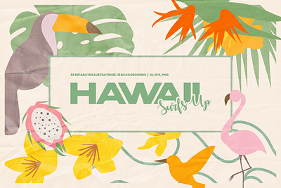 Hawaii Surfs Up Illustrations Paper Pack backgrounds botanical floral flowers graphic design hawaii hawaii island illustration illustrations ocean paper paper texture plants surf