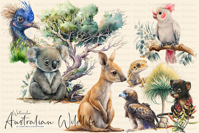 Australian Fauna & Flora Watercolor Set australia design illustration watercolor animal watercolor art