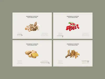 Editorial concept for Supplements shop brand branding clean design e com ecommerce editorial fashion graphic design illustration ingredients logo magazine shop supplements ui website
