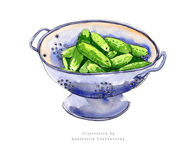 Cucumbers in a colander - food watercolor illustration branding cooking cooking book cucumber design food hand drawn illustration ingredient kitchen magazine packcging recepie sketch watercolor
