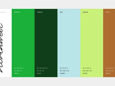 Locally Rebrand Color Strategy brand color palette brand colors brand design brand identity color color palette color strategy focus lab identity identity design rebrand rebrand colors