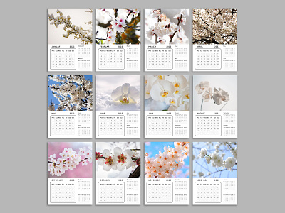 Yearly Calendar 2023 branding calendar canva day design editable elegant graphic design illustration minimal modern monthly simple start up typography yearly
