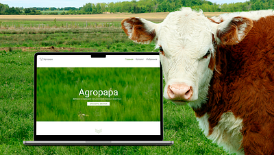 Начальная страница для сайта ИП "Agropapa" design logo vector начальная страниц