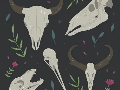 Great Plains Skulls art bison coyote crane drawing elk great plains illustration nature procreate pronghorn skulls