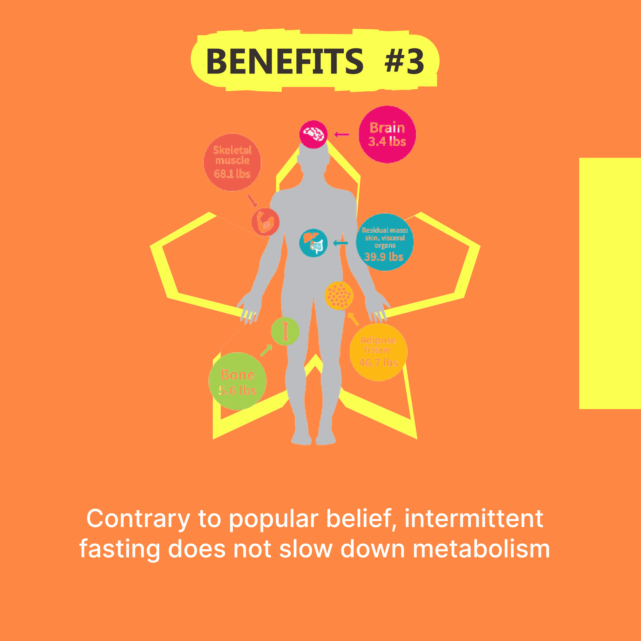Social media post Intermittent fasting by Sreeman Rave on Dribbble