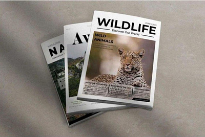 Wild Life branding design graphic design social media post