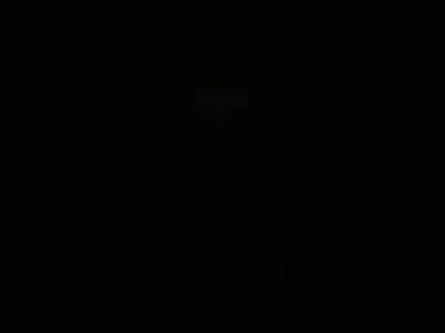 This is my new Logo animations animation branding graphic design logo logoanimation