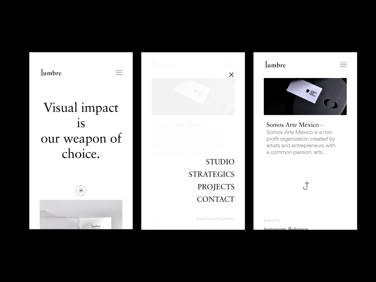 Lumbre Website motion graphics product design ui ux web