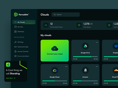PermaMint - Connect a cloud branding cloud colors connect a cloud dark mode dashboard design desktop dns landing ui design uidesign