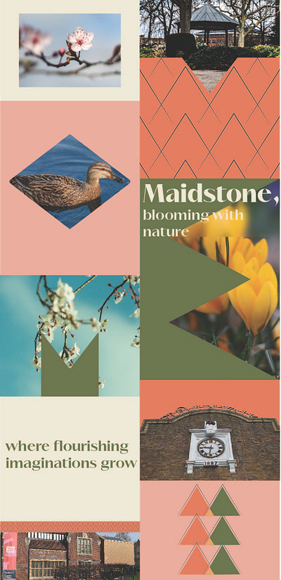 Maidstone Graphical Window Display graphic design illustration vector