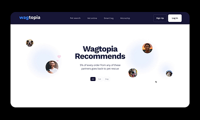 Recommends page for petlovers animation blue branding cat clean dog figma interactive mobile modern page pet psd redesign trend ui user ux visual webdesign