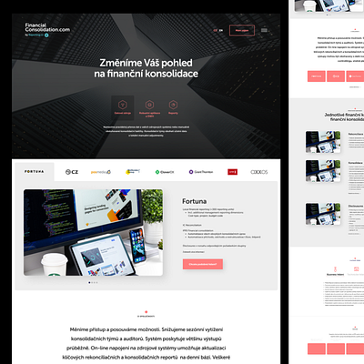 Financial Consolidation design flat responsive webdesign webflow website